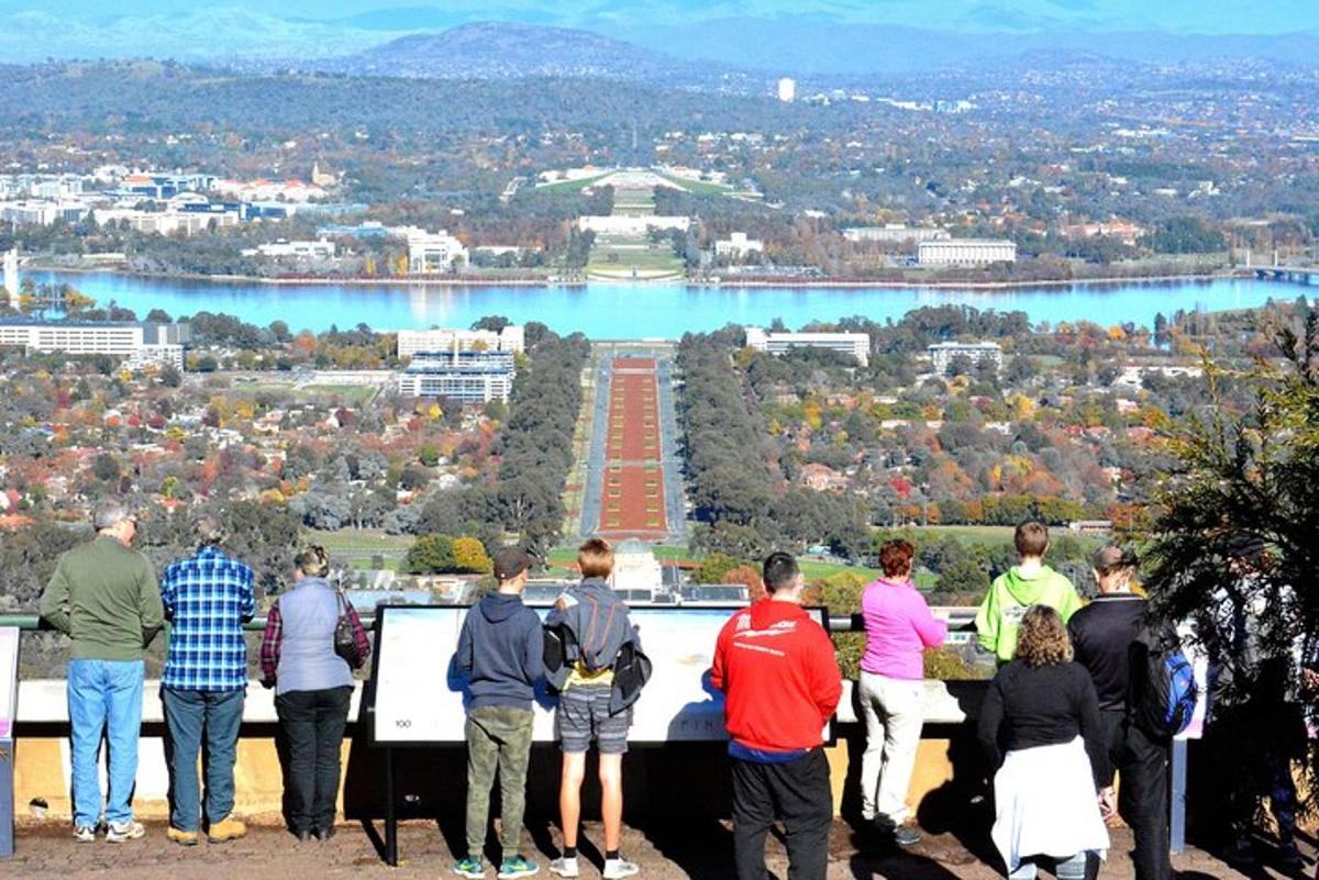 a group of people standing on top of a hill