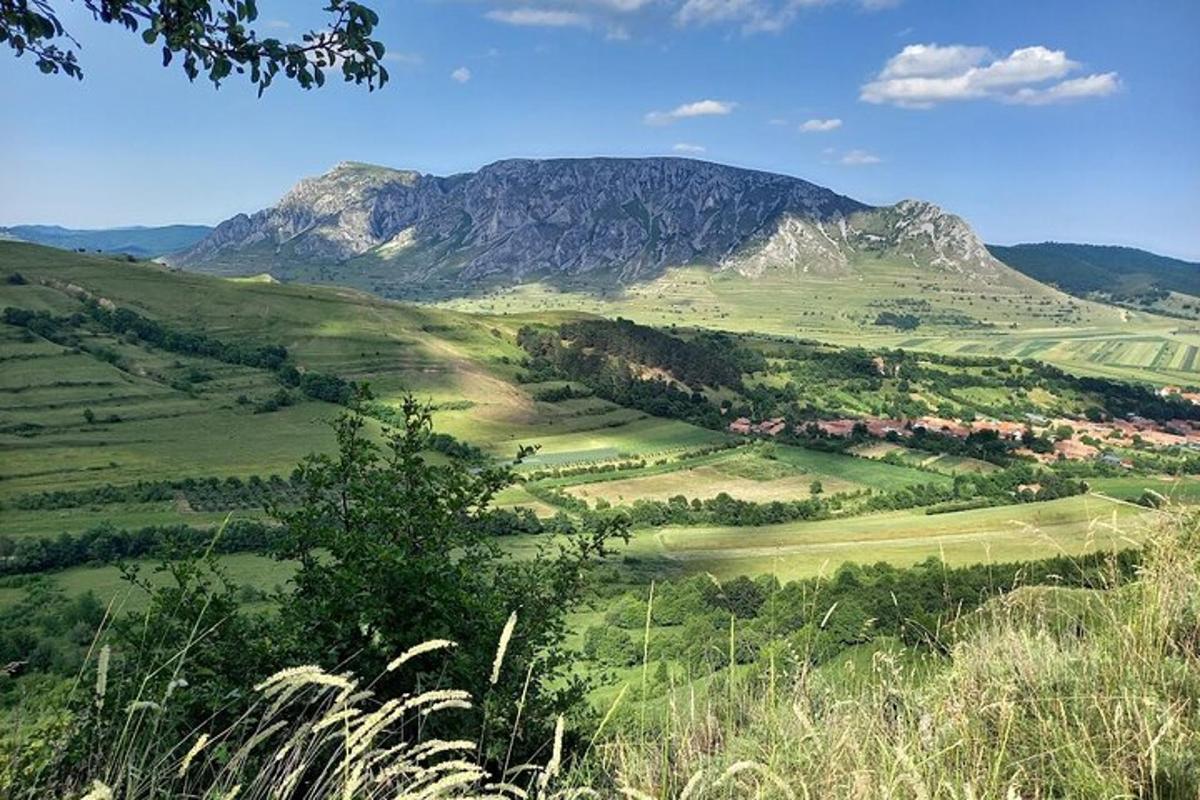 a mountain in the distance with a green field and trees