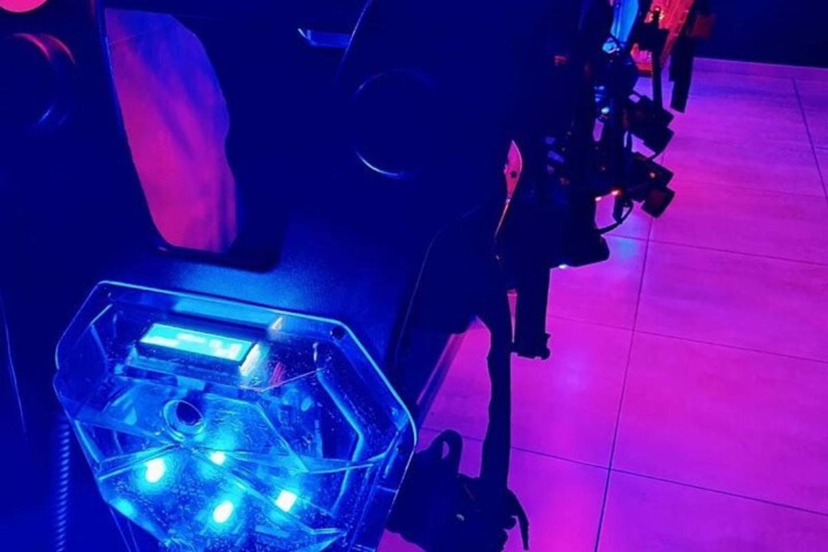 un gos amb llums blaves i roses en una habitació