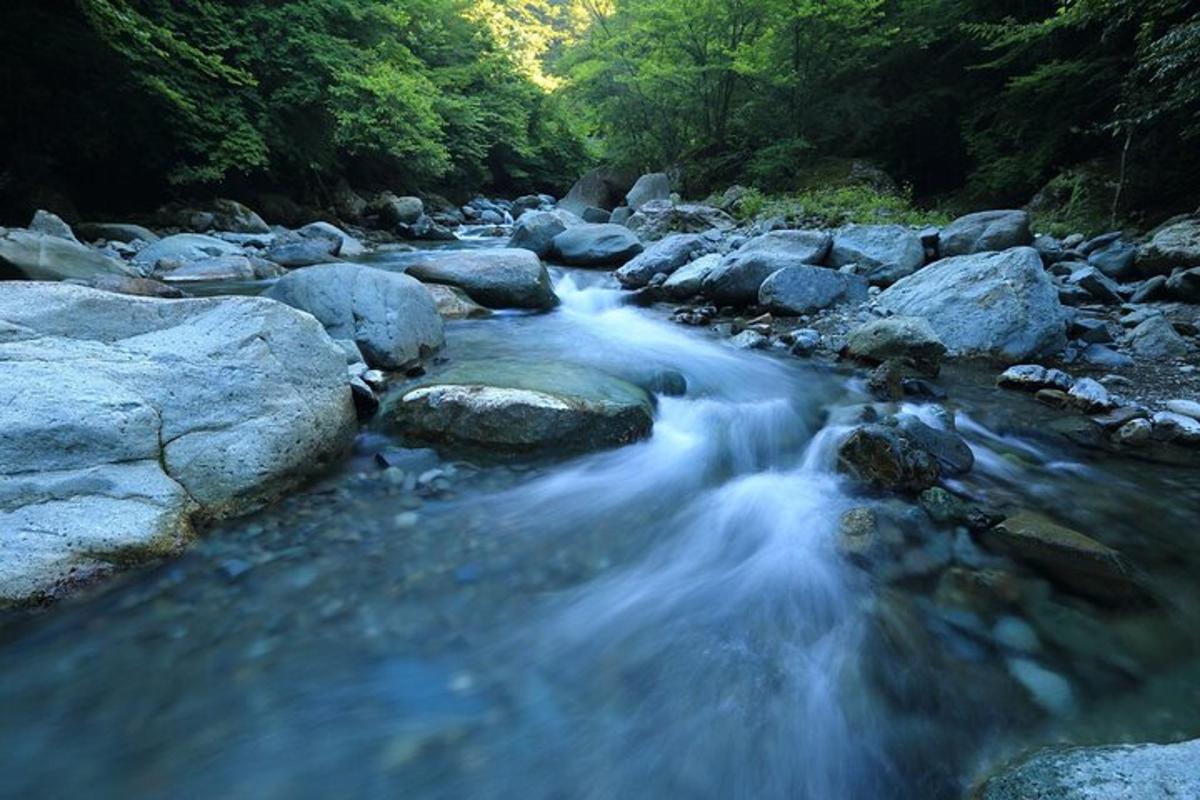 потік води з камінням та деревами