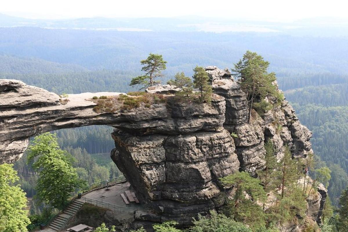 Una vista de una montaña rocosa con árboles.