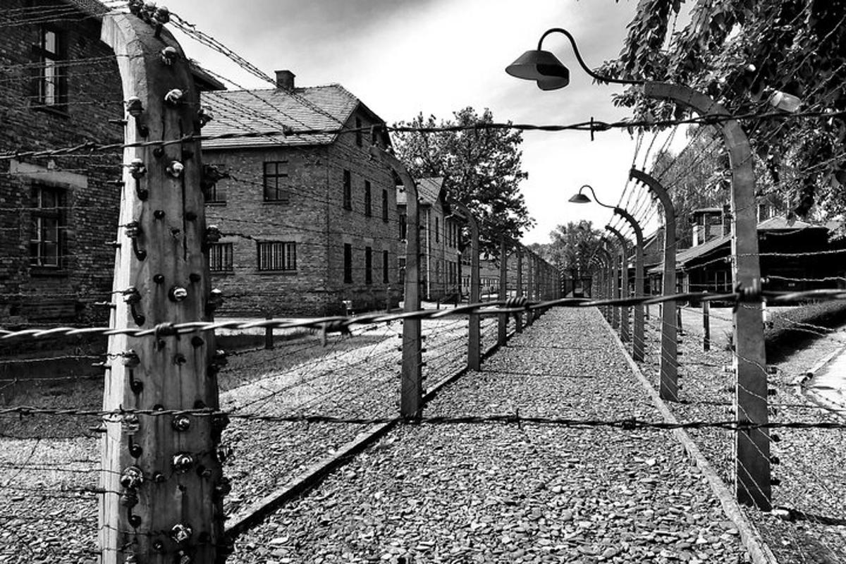 Fotografia 1 a atracției