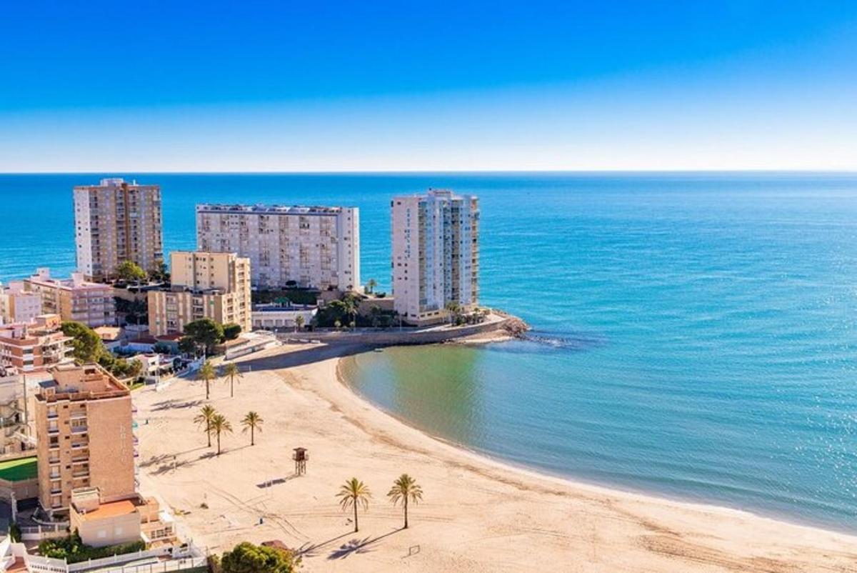 una vista di una spiaggia con palme ed edifici