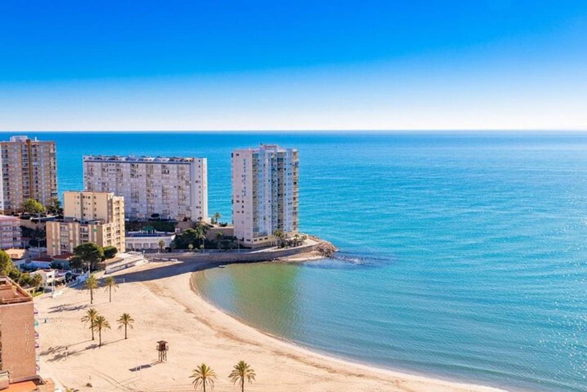 Una playa con palmeras y edificios y el océano.