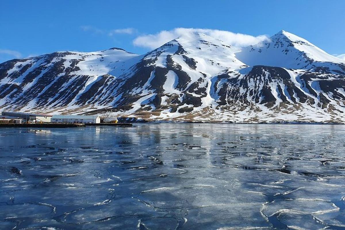 una montagna coperta di neve con uno specchio d'acqua