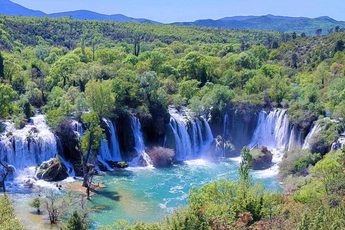 a waterfall in the middle of a forest