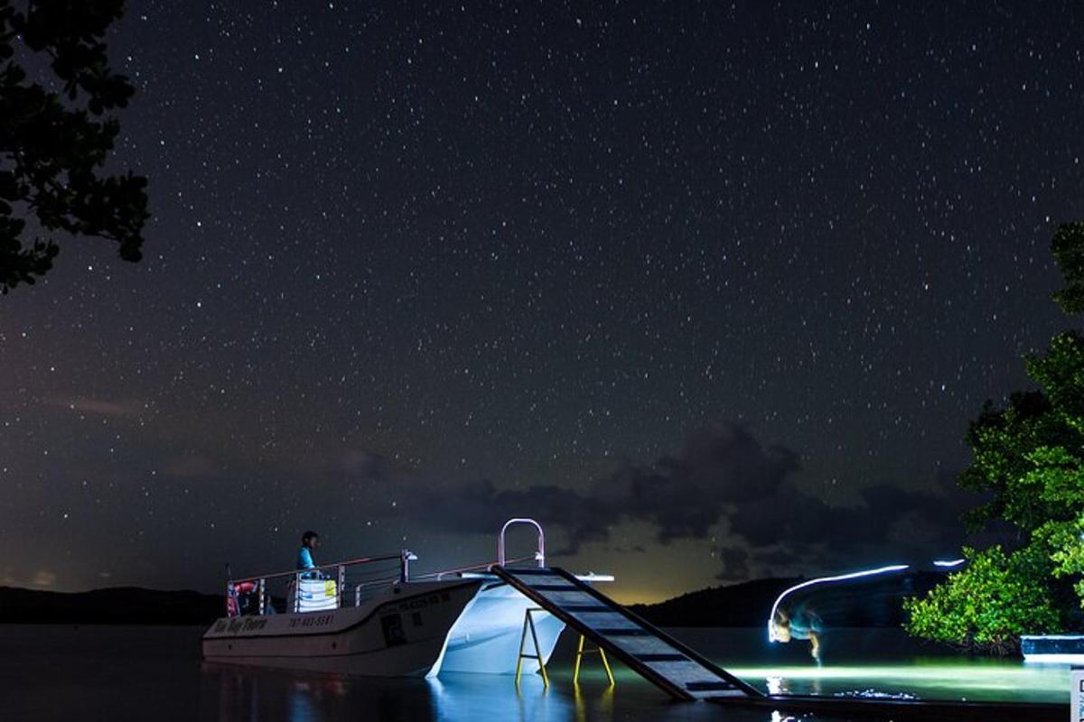 a boat on the water under a starry sky