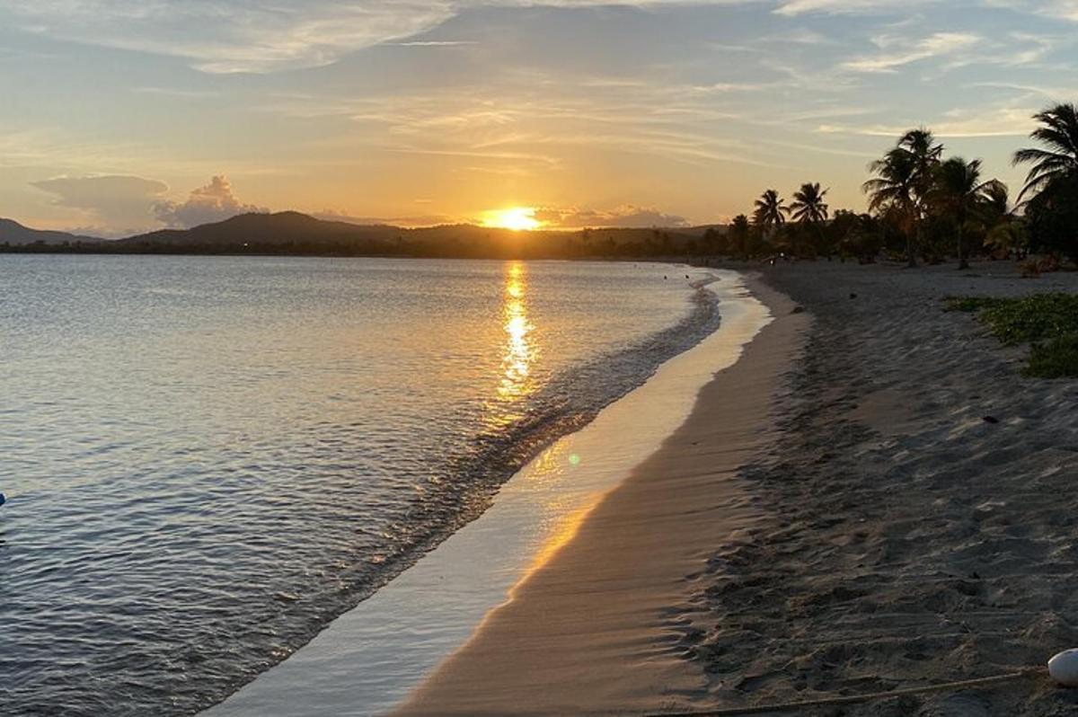 a beach with palm trees and the sunset in the background