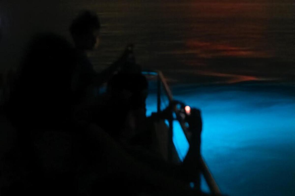 a person taking a picture in the dark with a camera