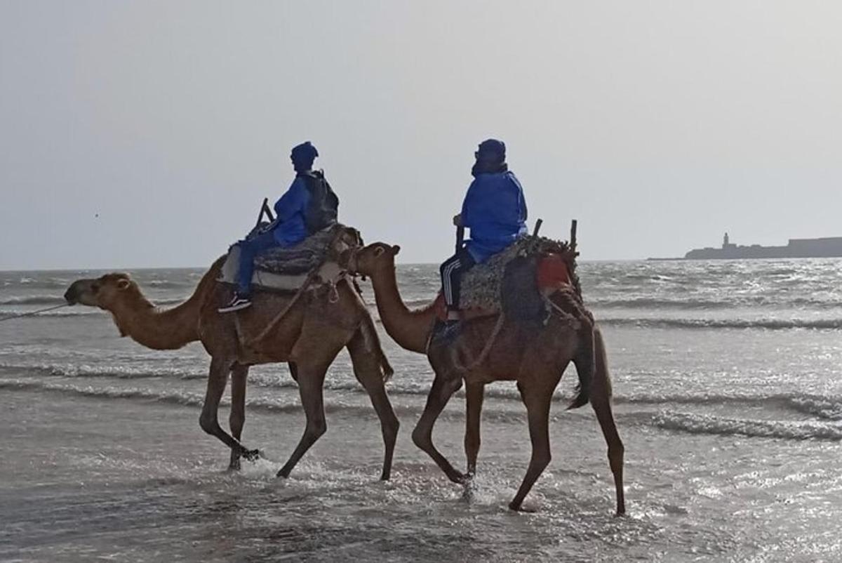 Dos personas cabalgando sobre el lomo de un camello en la playa