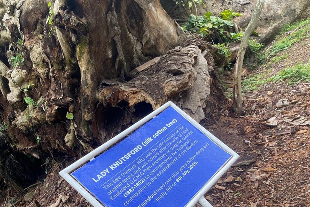 un cartello davanti a un ceppo d'albero
