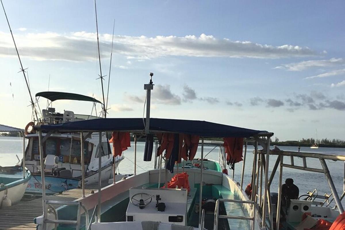 μια βάρκα με μπλε μουσαμά σε μια αποβάθρα