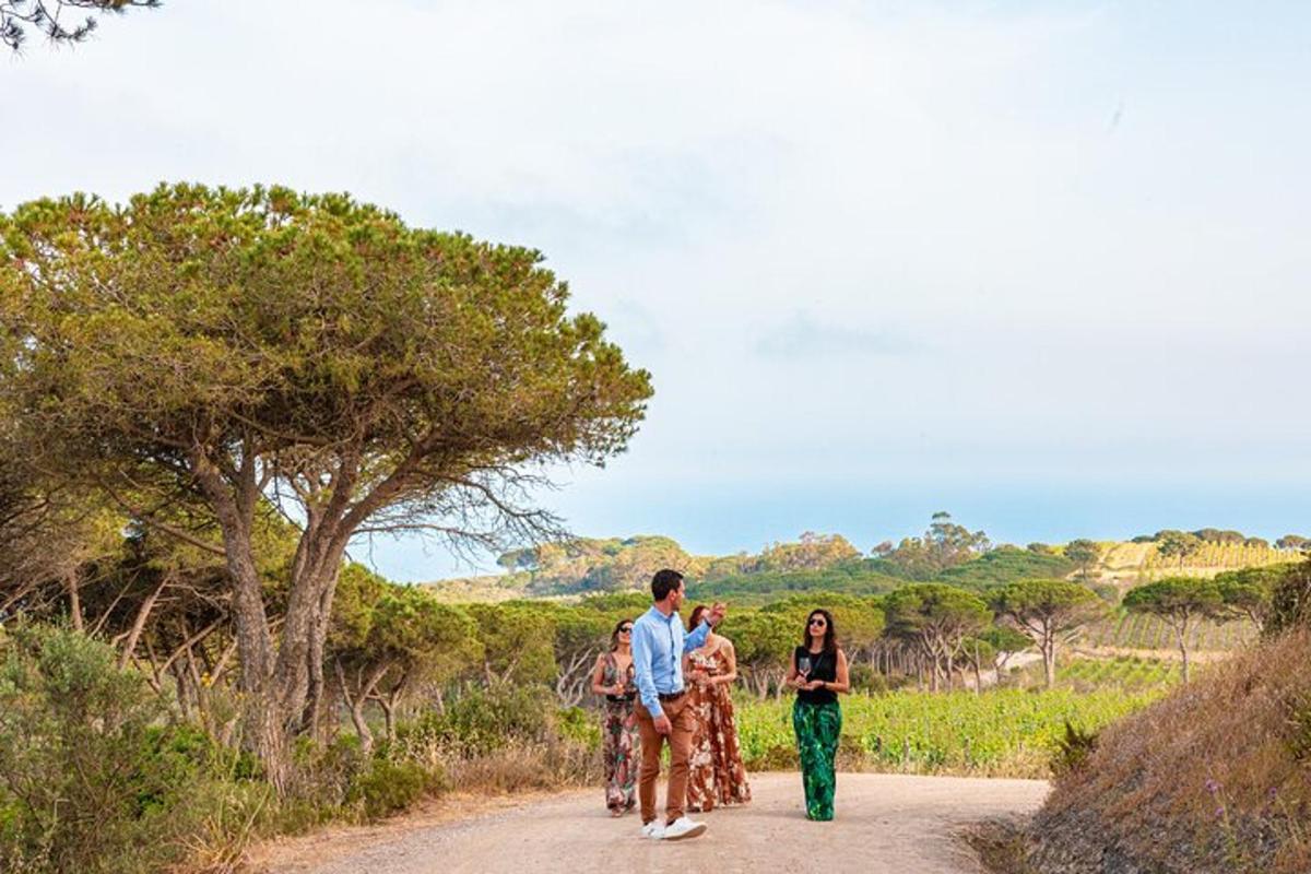 a group of people walking down a dirt road