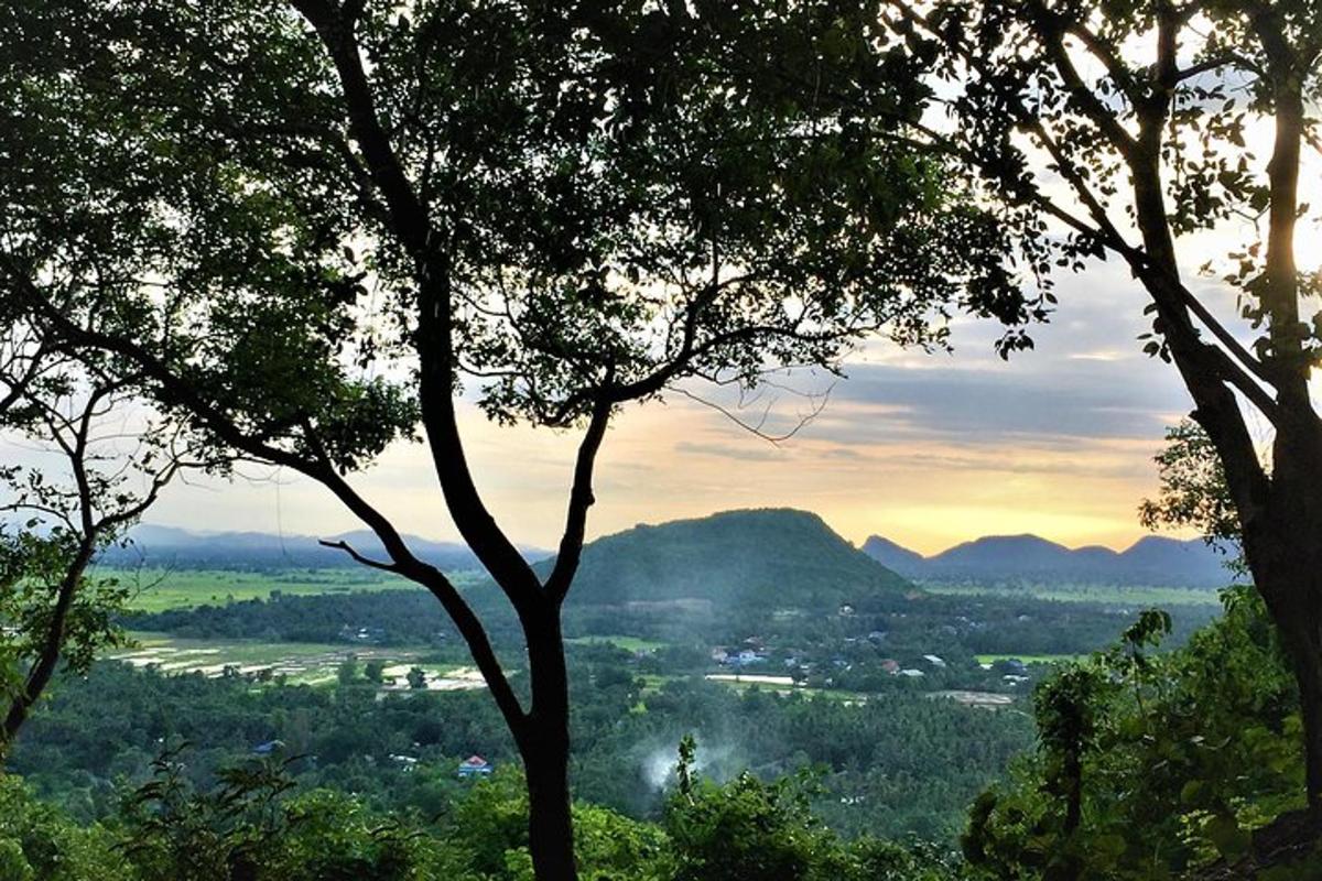 pemandangan lembah dari antara dua pokok