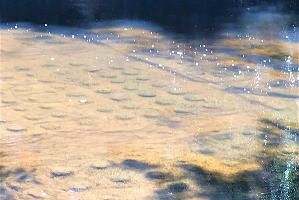 uma pintura de um corpo d'água com bolhas