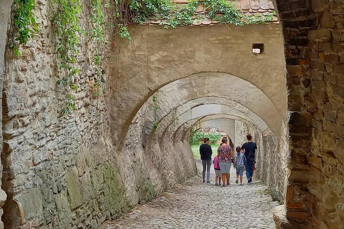 a group of people walking down an alley with their dogs