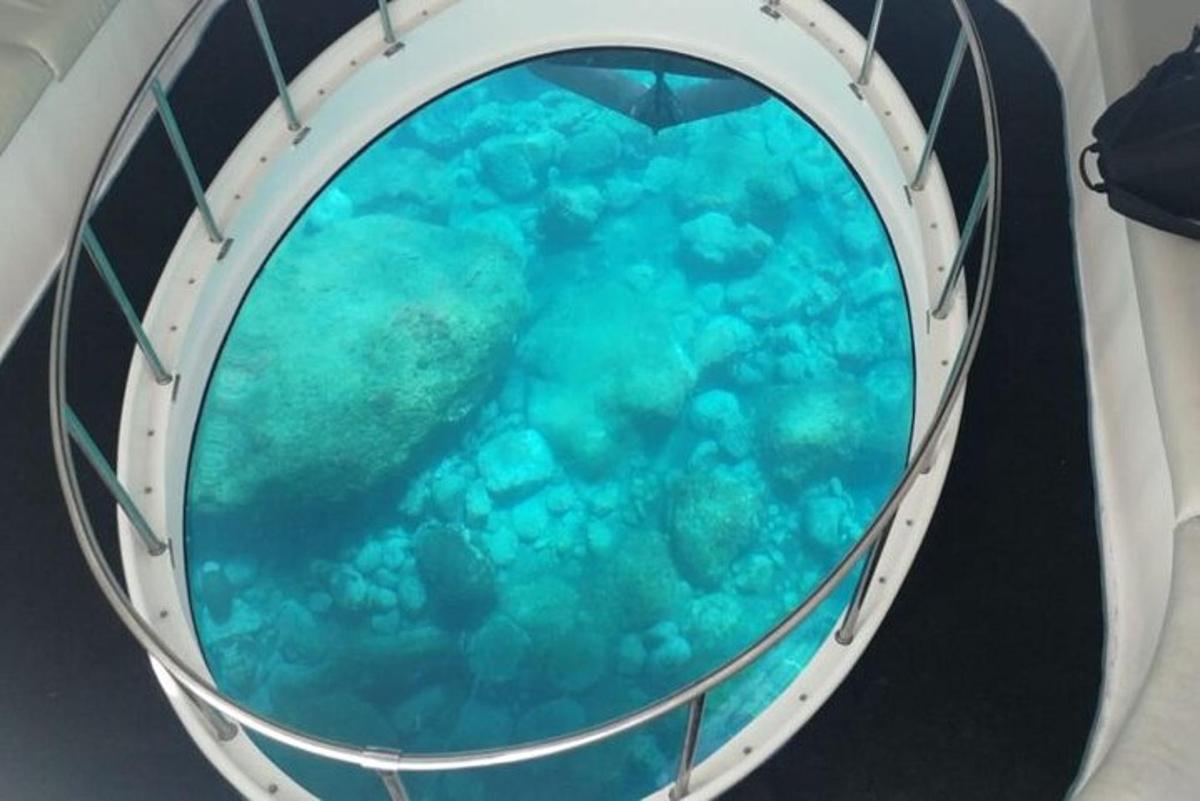 an inside view of a water tunnel in an aquarium