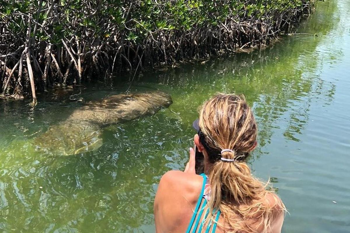 a woman talking on a cell phone next to anigator in the water