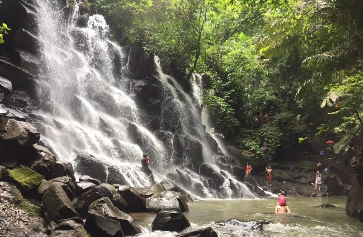 a waterfall in the jungle with people in the water