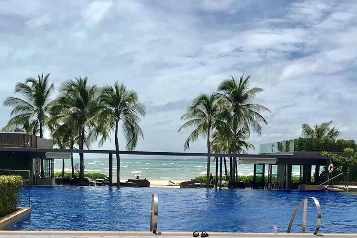 ヤシの木と海のあるプール