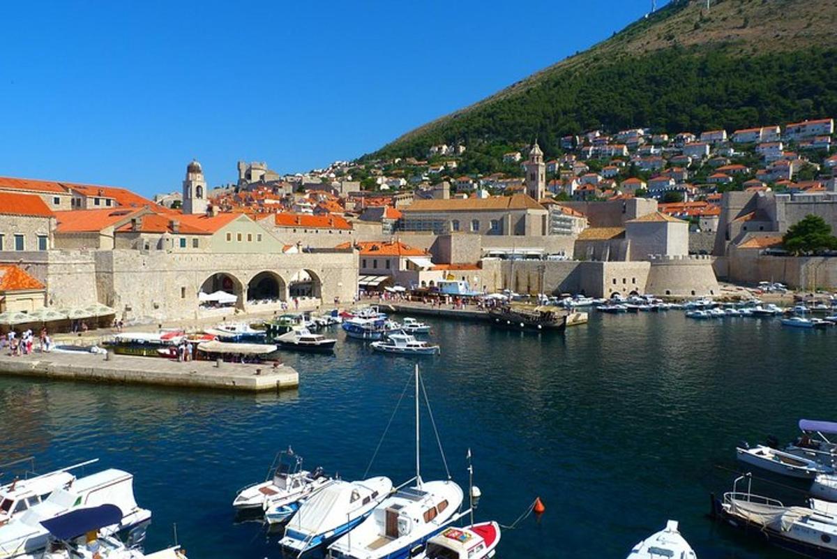 un gruppo di barche attraccate in un porto con una città