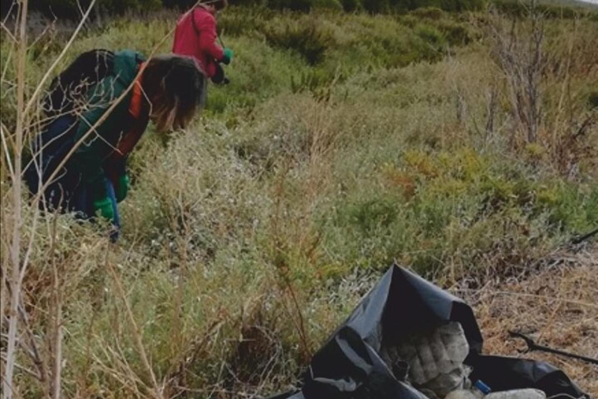 uma pessoa a cavalo em pé em um campo