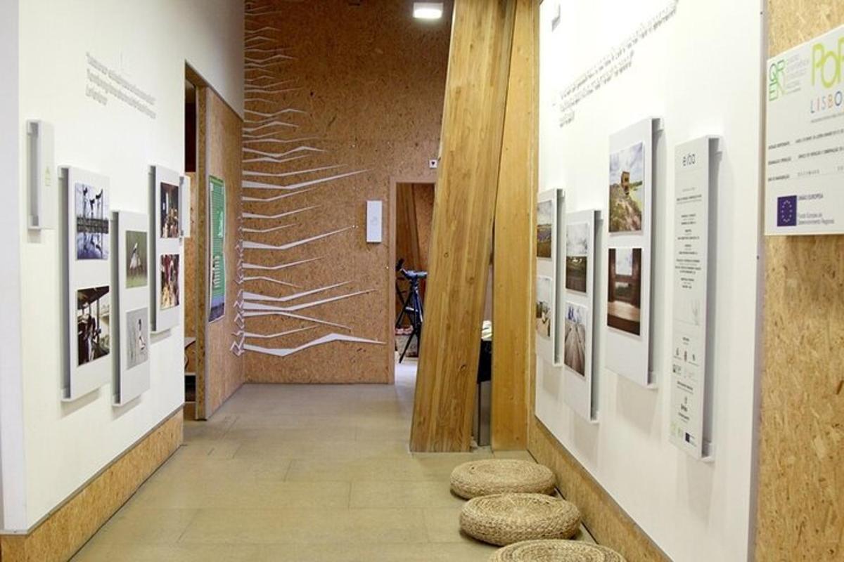 um corredor com fotos nas paredes de um museu