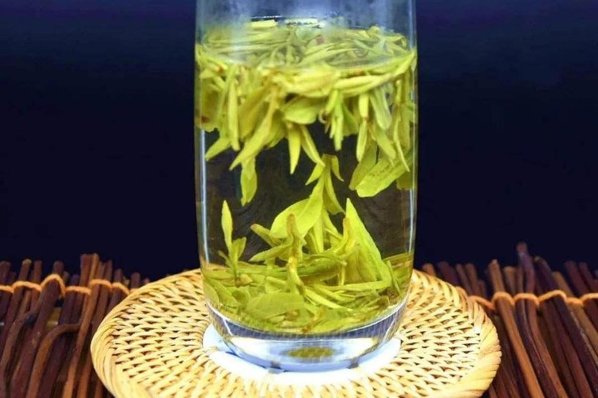 a glass vase filled with green algae on a table