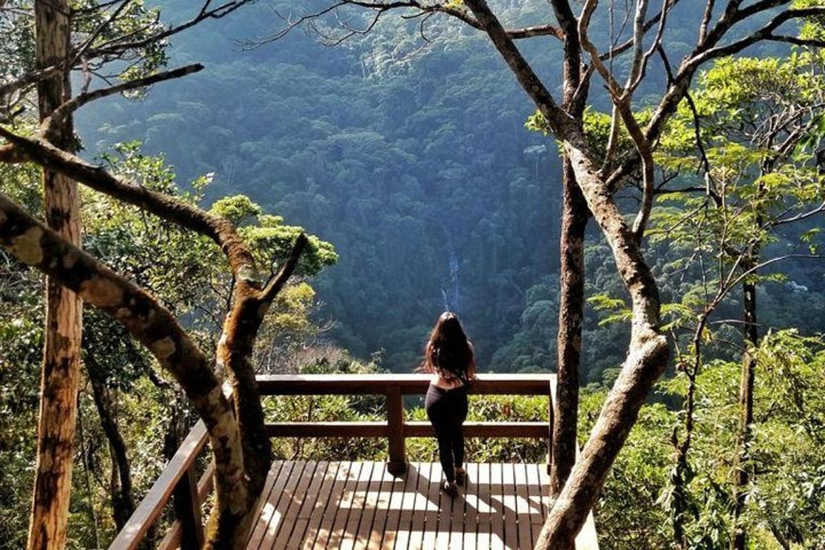 uma mulher em pé em uma ponte de madeira nas montanhas