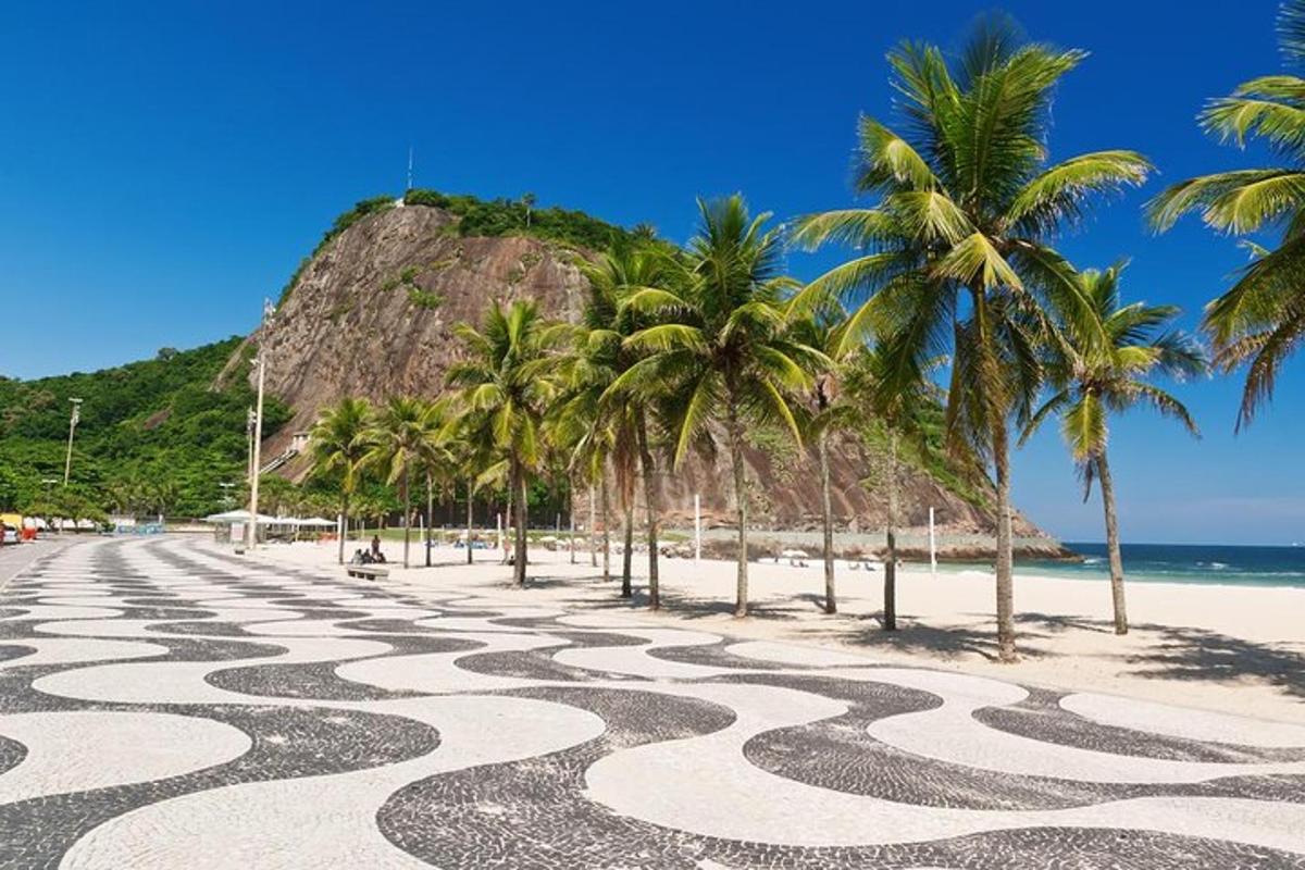 plaža s palmami in vijugasto cesto