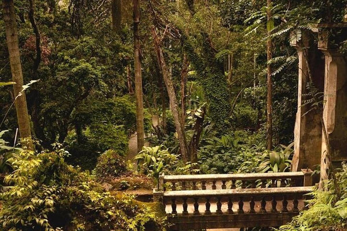 Un banco de madera sentado en un bosque de árboles.