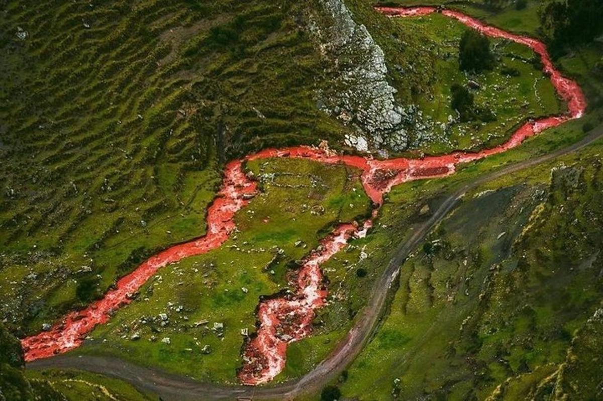 una vista aerea di un fiume in un campo