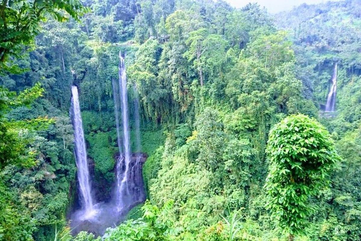 pemandangan hutan dengan dua air terjun