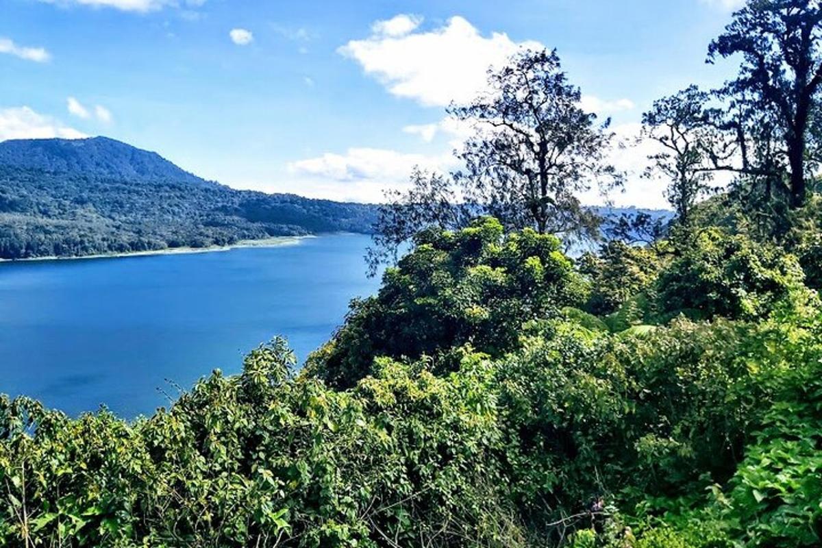 una vista di uno specchio d'acqua con alberi