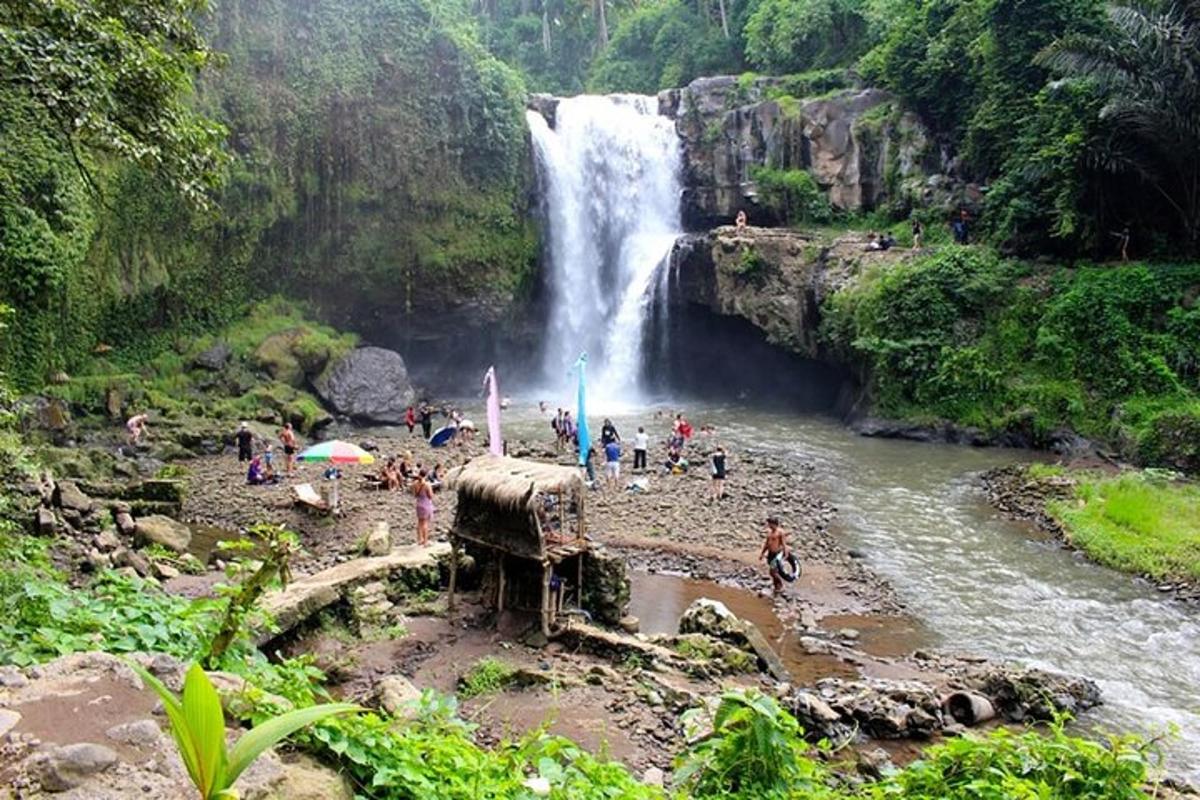 a group of people standing in front of a waterfall