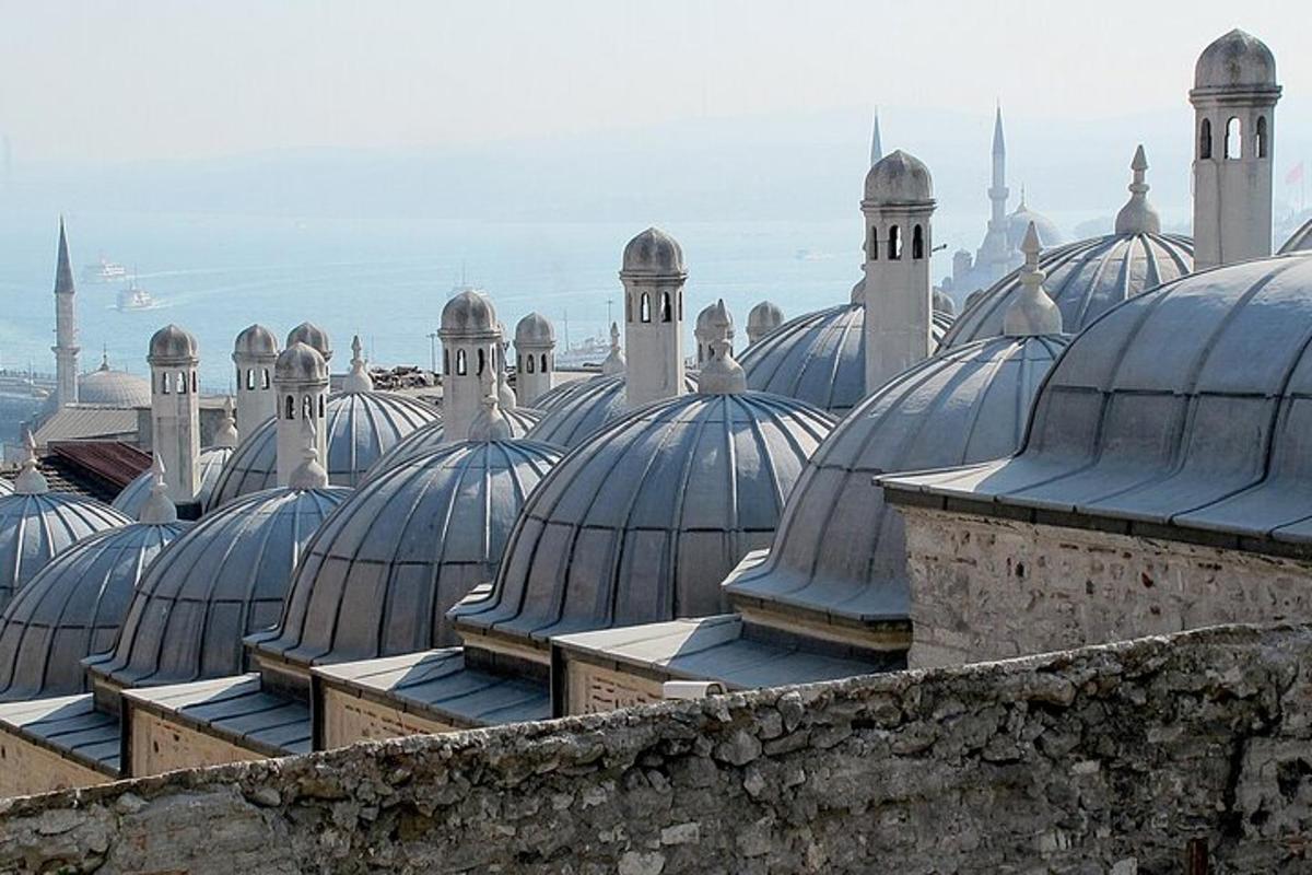 a group of domes on top of a building