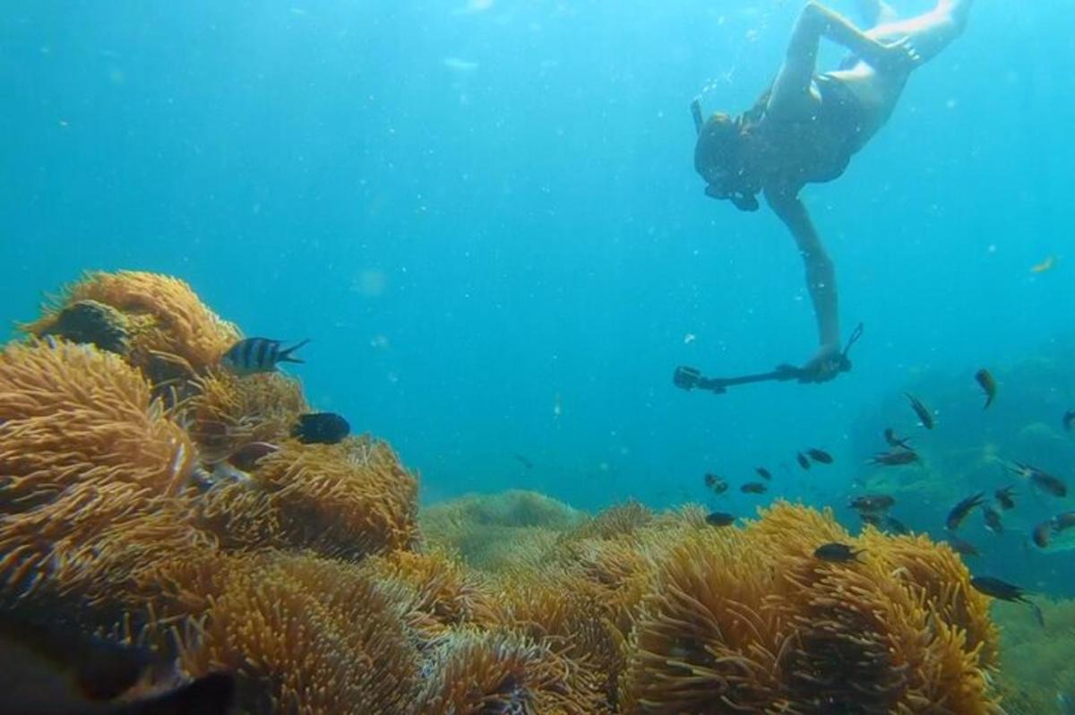 člověk v oceánu dívající se na korálový útes