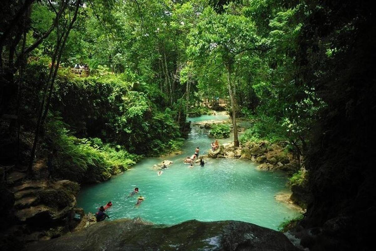 a group of people swimming in a river in a forest