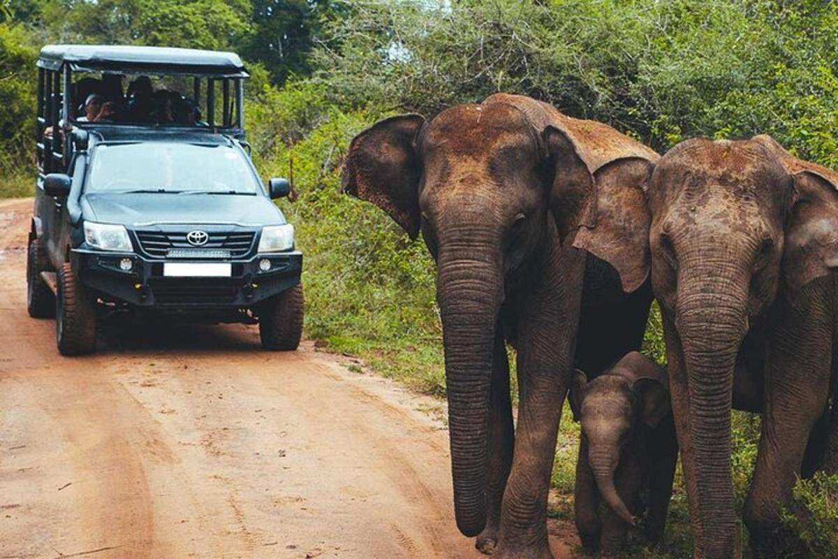 a group of elephants walking down a dirt road with a vehicle
