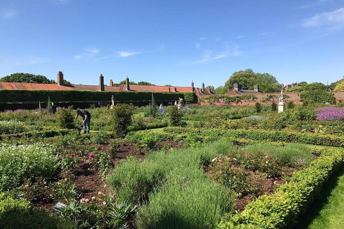 um jardim com uma pessoa trabalhando em um campo de plantas