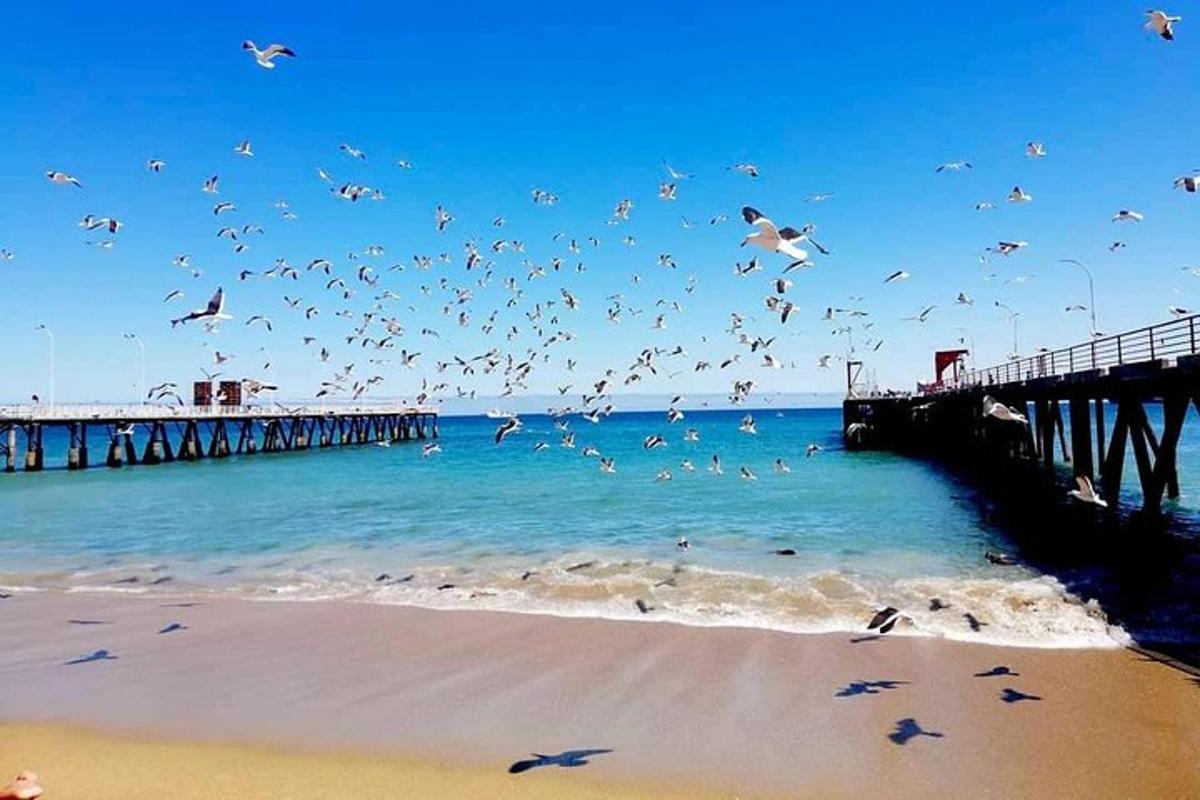 a flock of birds flying over a beach with a pier