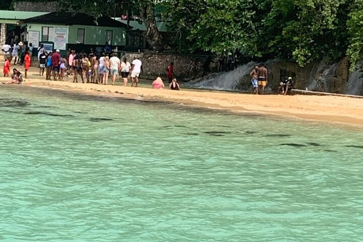 un gruppo di persone che camminano sulla riva di una spiaggia