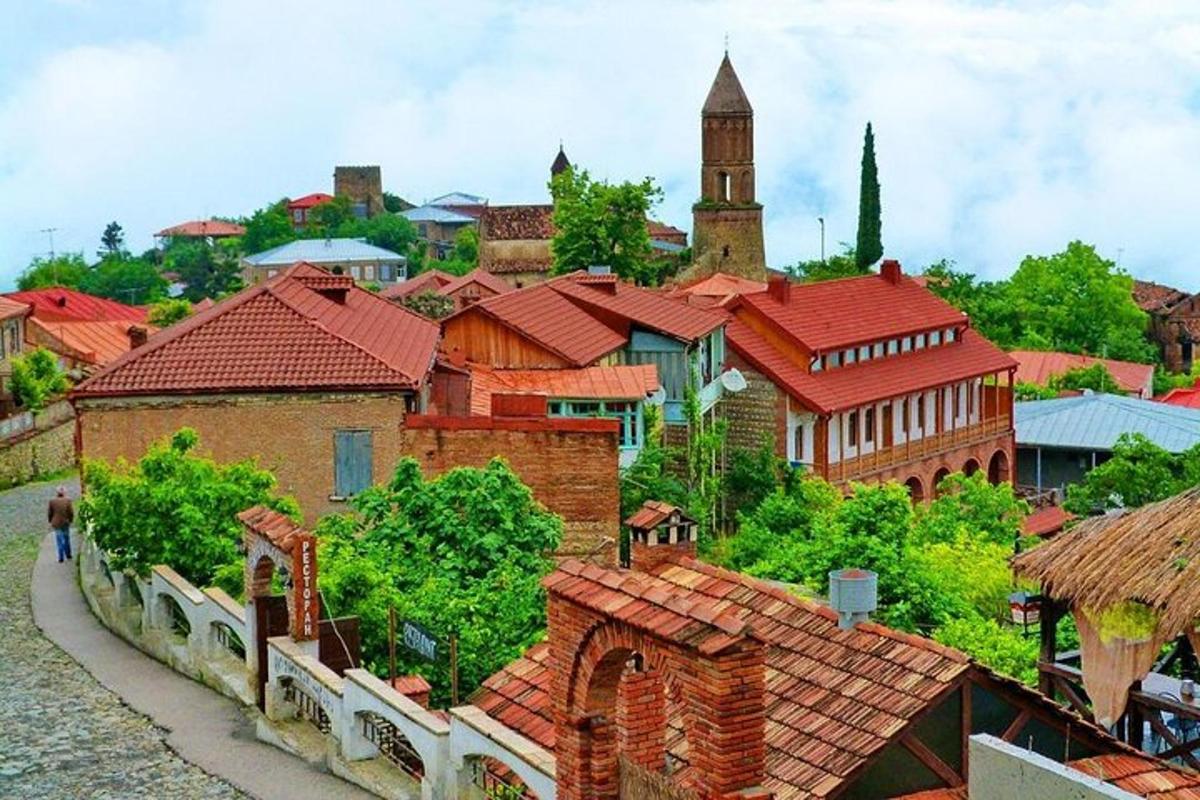 una vista di una città con i tetti rossi