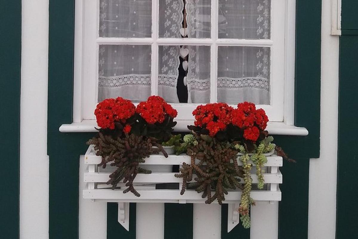 a window with red flowers on a white bench