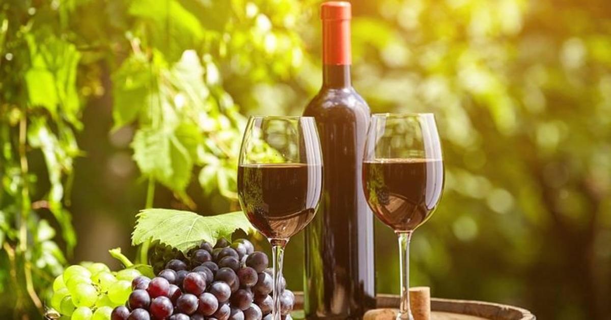 two glasses of red wine next to a bunch of grapes