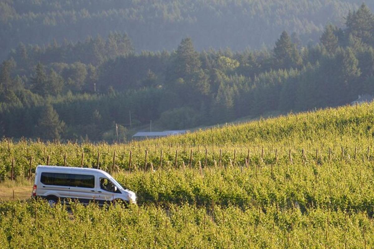 un camión blanco estacionado en medio de un campo