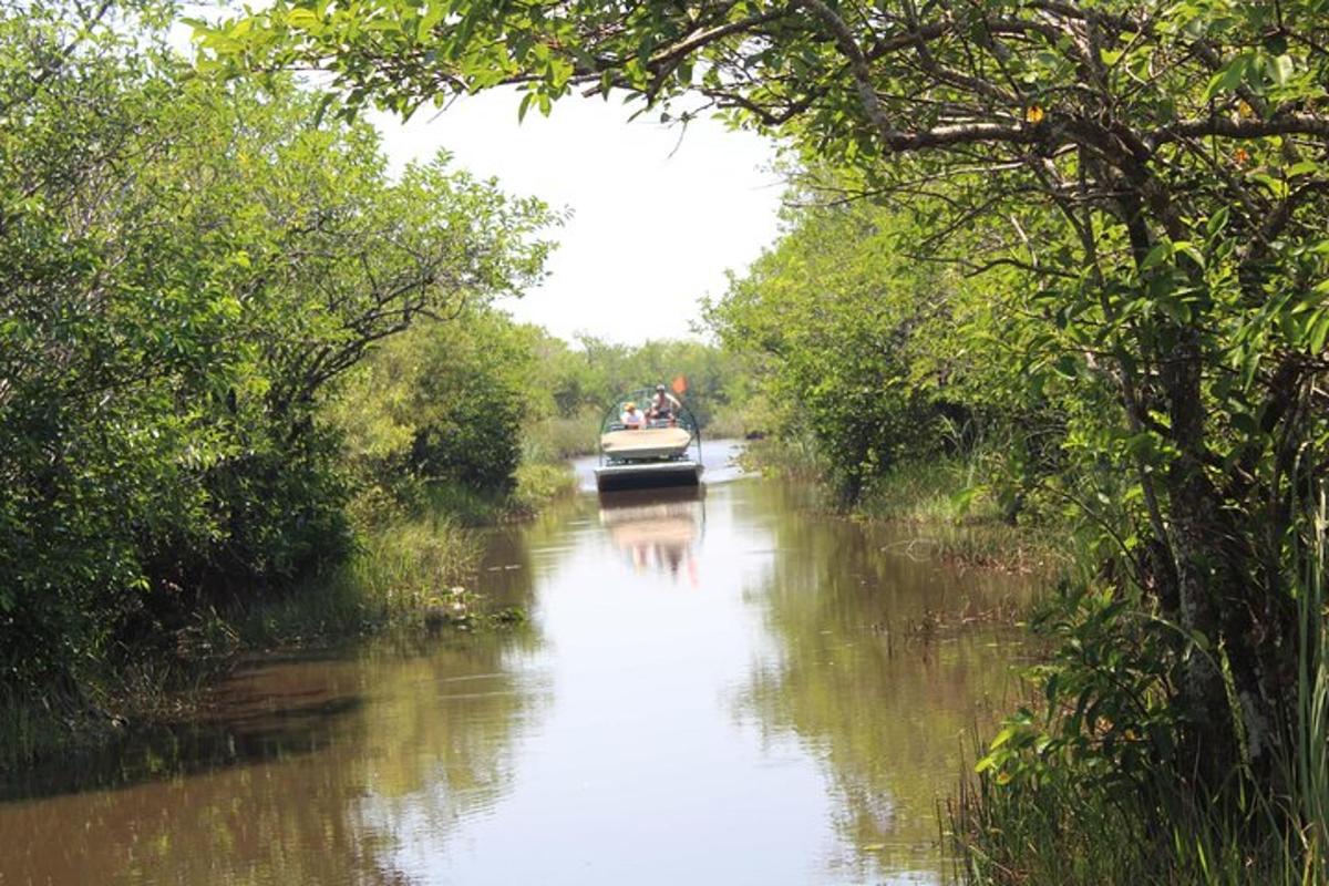 เรือล่องไปตามแม่น้ำที่มีต้นไม้