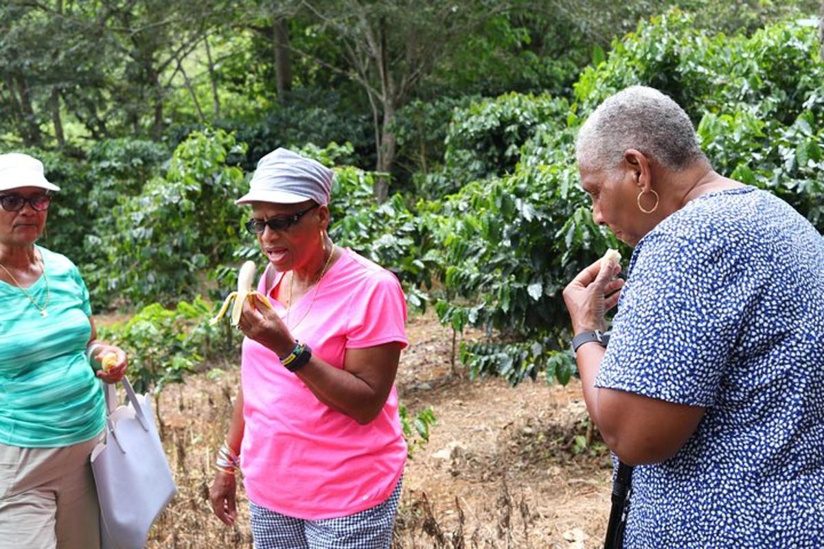 a group of three women looking at some bananas