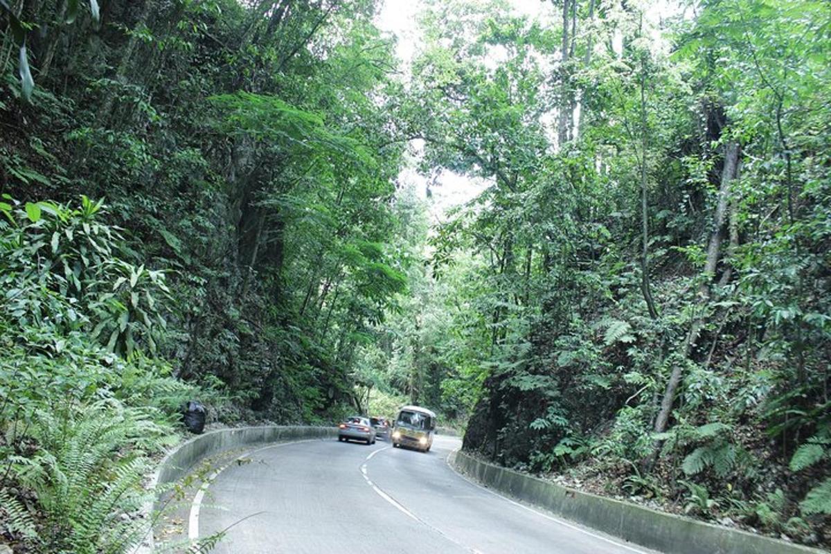two cars driving down a road in the jungle