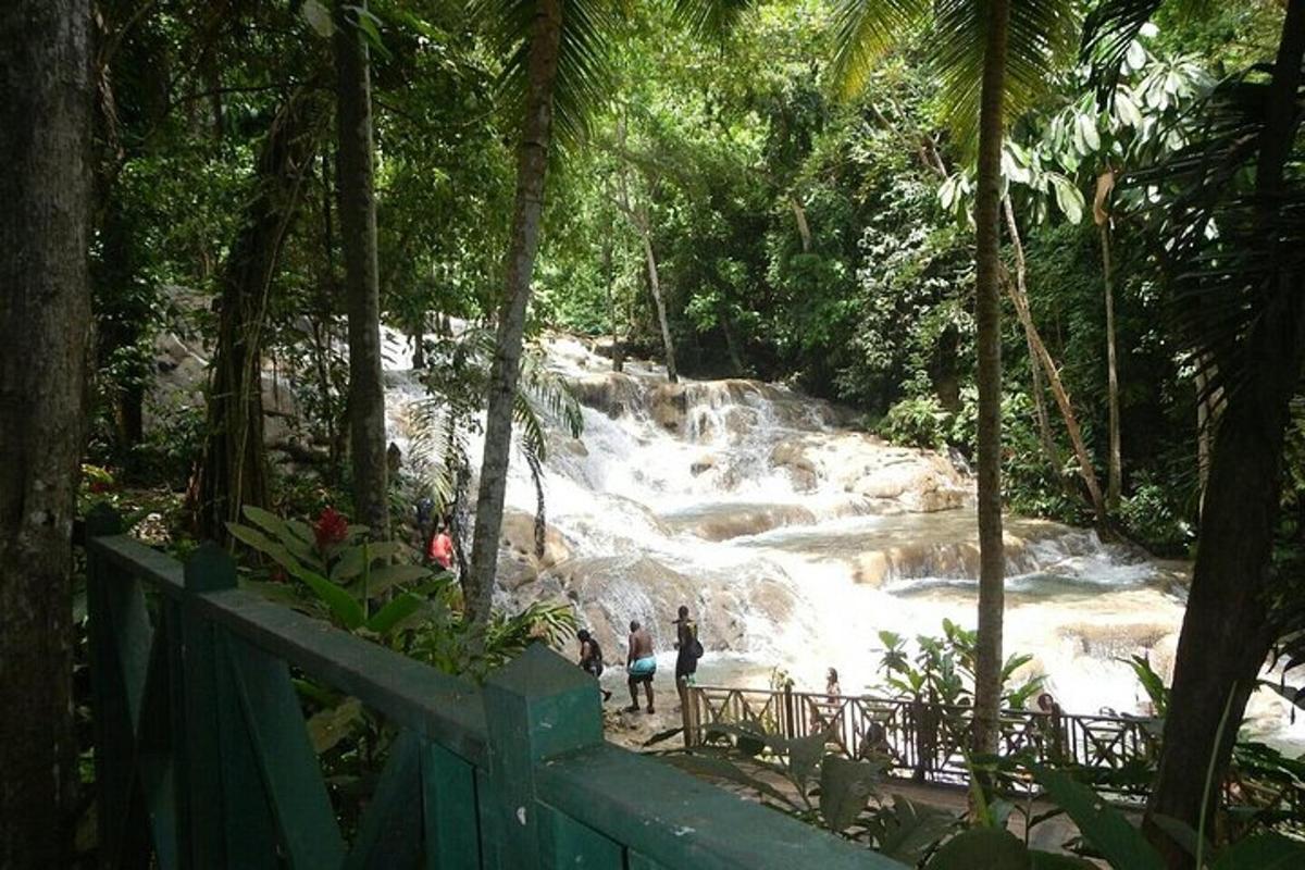 Gente caminando frente a una cascada en un bosque.